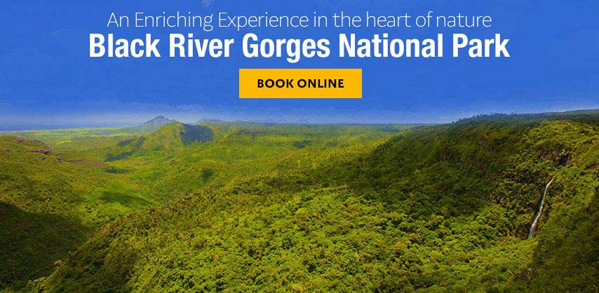 Black River Gorges National Park